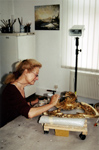 Konservierung und Reinigung der Polimentvergoldung an der nördlichen Rocaille im Atelier in Dresden